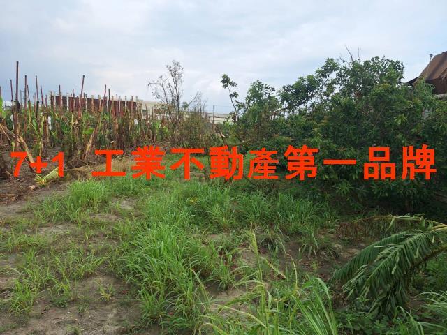 高雄大寮廠房-0