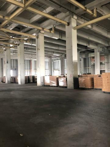 屏東屏東市廠房-1