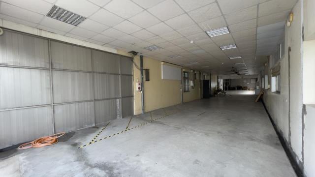 新市廠房-3