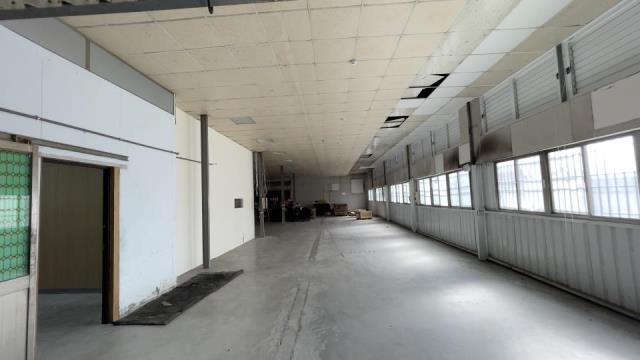 新市廠房-0