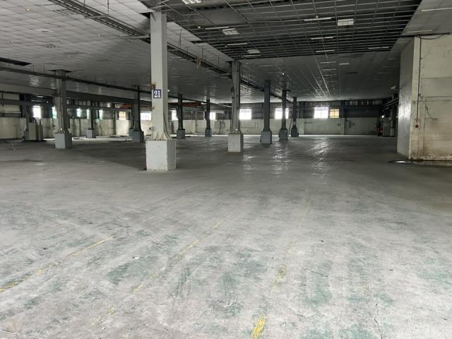 台南善化廠房-0