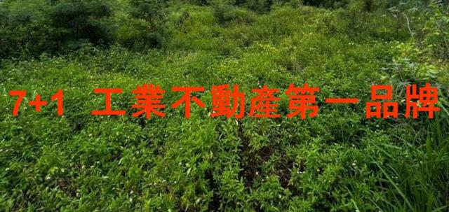 台南工業地-0