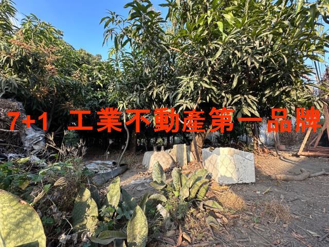 高雄農地-0