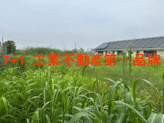 高雄大寮農地-0